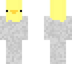 cute bird