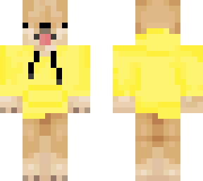 dog with yellow hoodie