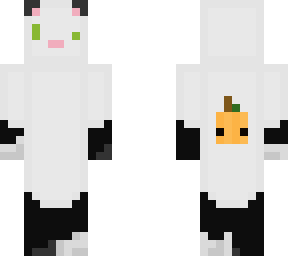 halloween/ghost cat