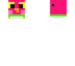 little owl (watermelon version)