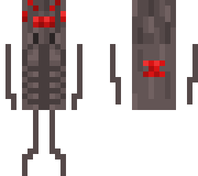 spider