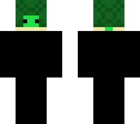turtle(for heads datapack)