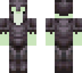 frog with netherite armour