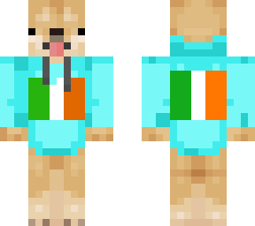 irish dog