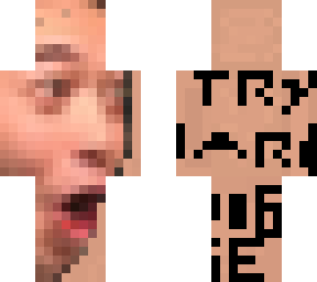 tryhardpoggie's skin