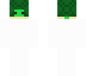 turtle head