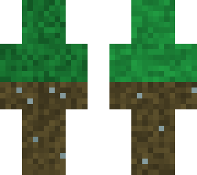 hide and seek grass and dirt block.