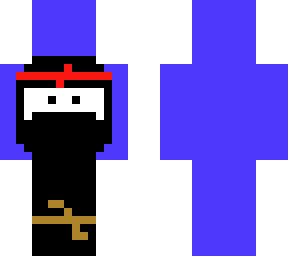ninja dream