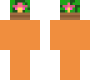 potted plant head