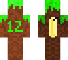 the 12th anniversary of minecraft (may 17, 2021)