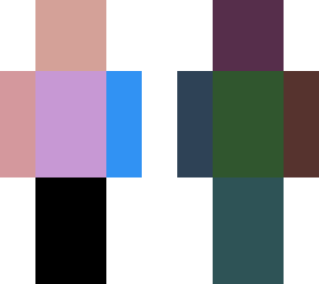 the rainbow camoufladge 2