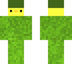 army duck