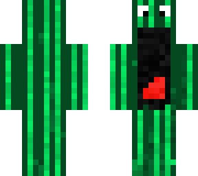 cactus choqu