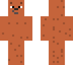 a bear.