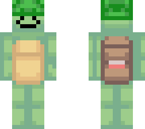 main skin