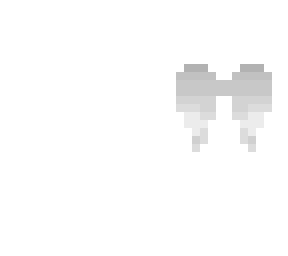 wings (outer layer)