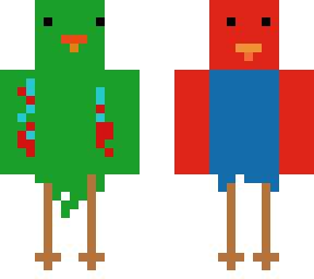eclectus parrot