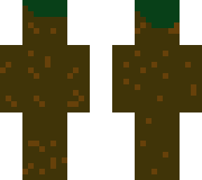 dirt block skin