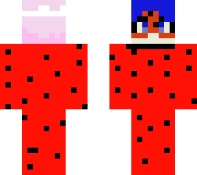 ladybug with madoka kaname hair