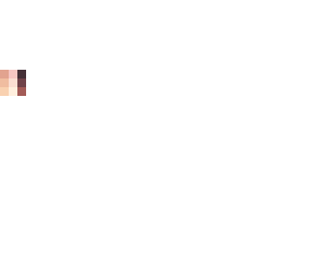 skin template