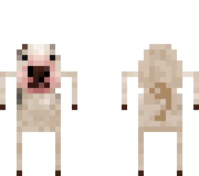 6 legs