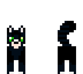 black cat