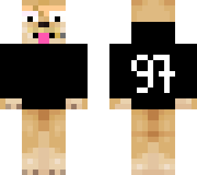 csyon skin