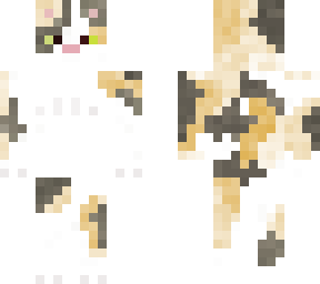 cute kitty