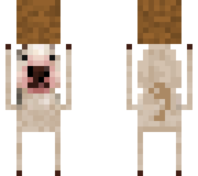 doggie