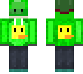 duck / turtle