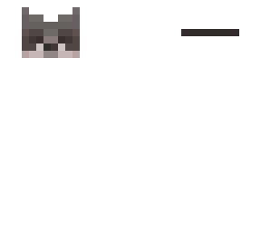 racoon mask