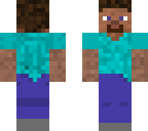 reverse steve