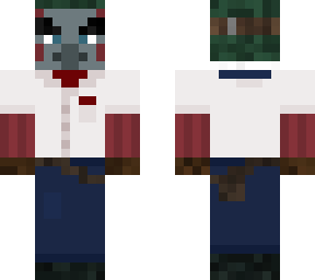 the vindicator