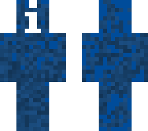 skin ionfo