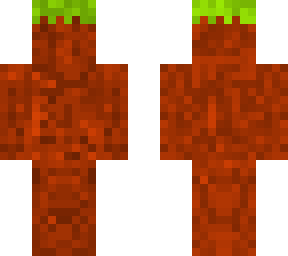 dirt
