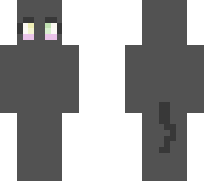 a cat