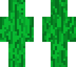 kelp