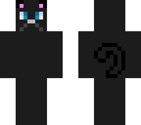 the cat