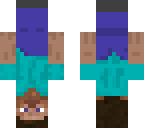 upside down steve