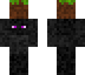 enderman & grass block