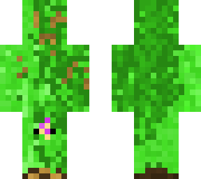 mister camoflage