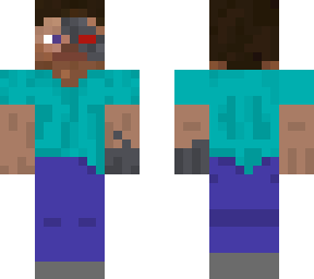terminator steve