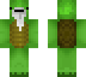 turtle