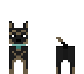 dog uvu