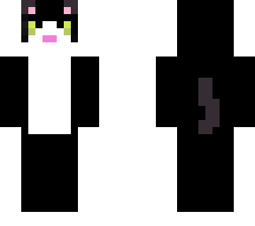 my cat