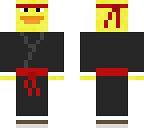 ninja duck