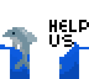 the dolphin theory