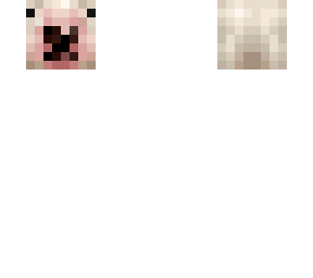 walter template