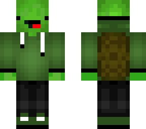 turtle