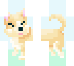 corgi